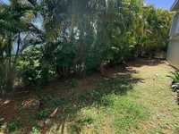House 2960628386