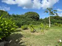 House 2960628668