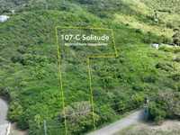 House 2960629256