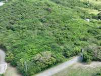House 2960629310