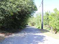 House 2960629405