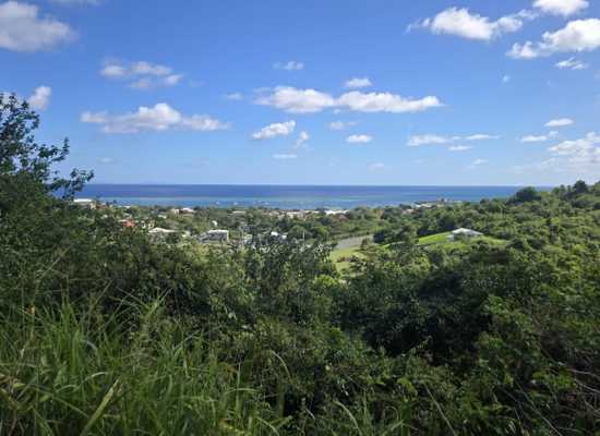 18-A Contentment CO, 26-789, Other, Lots and Land,  for sale - Dionne Nelthropp, Hibiscus Homes