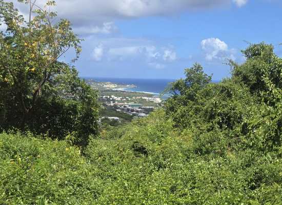 94 Hermon Hill CO, 26-788, Other, Lots and Land,  for sale - Dionne Nelthropp, Hibiscus Homes