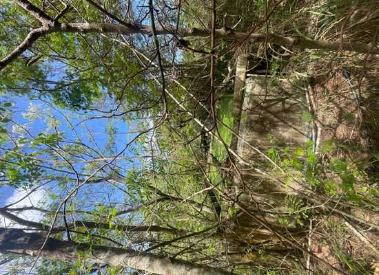 2E-50-B & Caret Bay LNS, 25-849, Other, Lots and Land,  for sale - Dionne Nelthropp, Hibiscus Homes