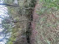 House 3029612601