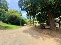 House 2969460368