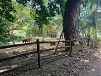 House 2969460446