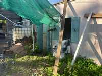 House 2969460572