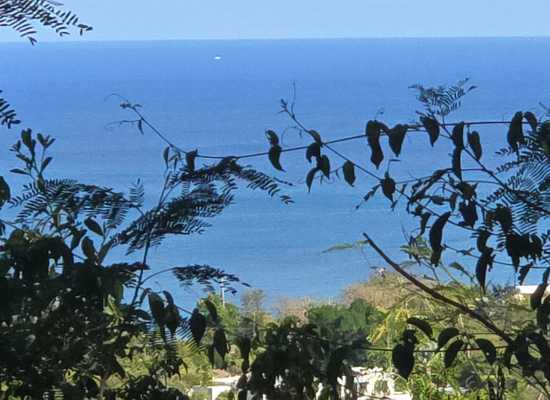 121 Cotton Valley EB, 26-826, Other, Lots and Land,  for sale - Dionne Nelthropp, Hibiscus Homes
