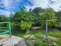 House 2972719663