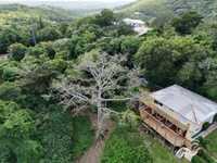 House 2974726912