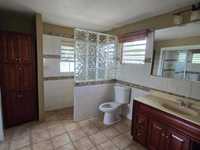 House 2978480238