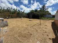 House 2979331320