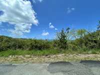 House 2982471636