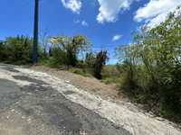 House 2982471640