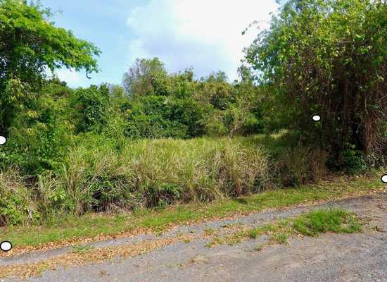 26 Hard Labor PR, 26-875, Other, Lots and Land,  for sale - Dionne Nelthropp, Hibiscus Homes