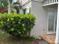 House 2986157888