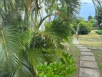 House 2986157966