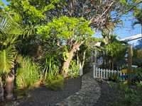 House 2992239497