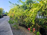 House 2992240254