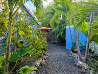 House 2992239404