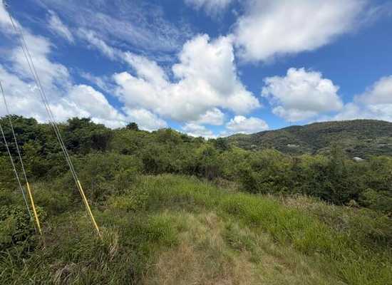 96 B La Grange WE, 26-924, Other, Lots and Land,  for sale - Dionne Nelthropp, Hibiscus Homes