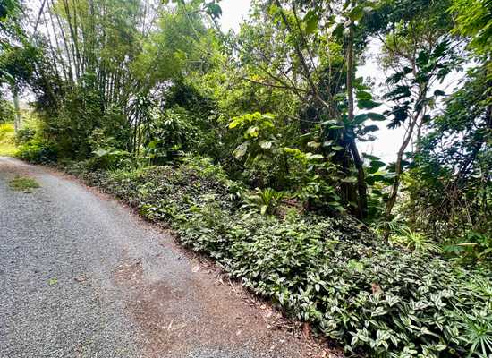 9AA-1 Lerkenlund GNS, 26-916, Other, Lots and Land,  for sale - Dionne Nelthropp, Hibiscus Homes