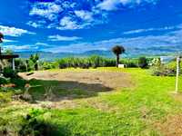 House 2993632602