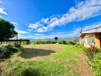 House 2993632606