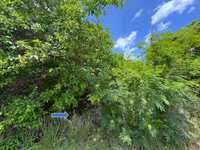 House 2997986601