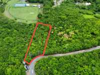 House 2997987177