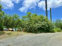 House 2997987237