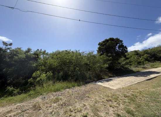 27 Grange Stock Est CO, 26-962, Other, Lots and Land,  for sale - Dionne Nelthropp, Hibiscus Homes