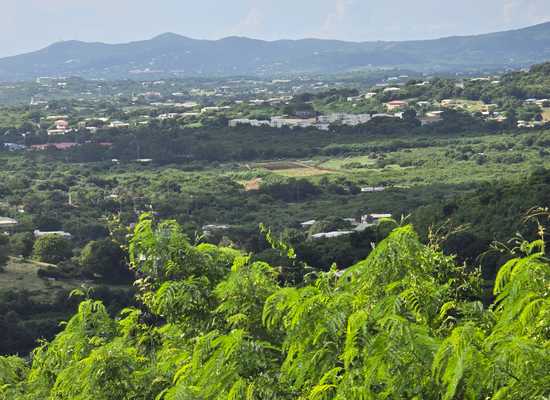 164 Bugby Hole CO, 26-972, Other, Lots and Land,  for sale - Dionne Nelthropp, Hibiscus Homes