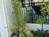 House 3003777897
