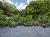 House 3004398481