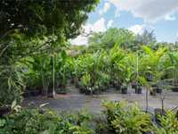 House 3004398487