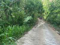 House 3008831354