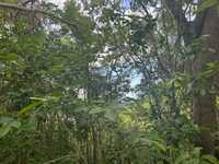 House 3008831357