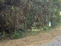 House 3010697882