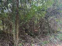 House 3010697906