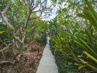 House 3010690442