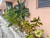 House 3012336561