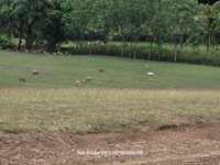 House 3014850795