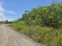 House 3016800229