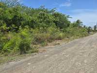 House 3016800233