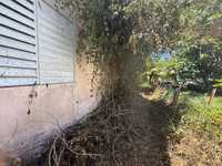 House 3024199938
