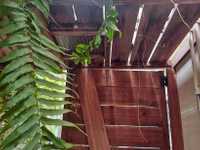 House 3027719617