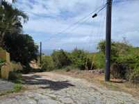 House 3029612915