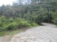 House 3029612921